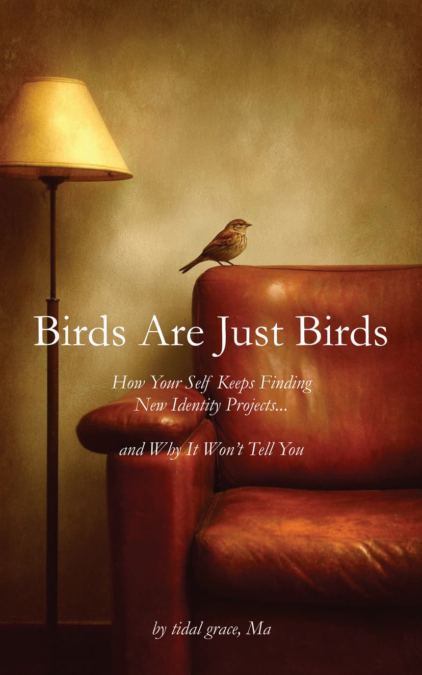 Birds Are Just Birds book cover