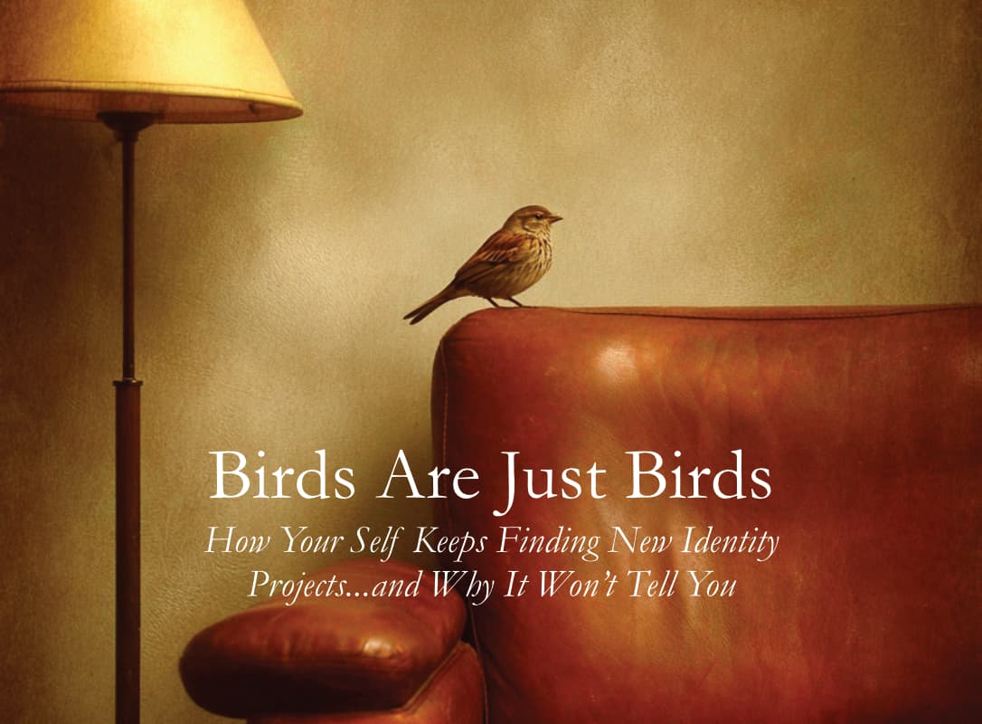 Birds Are Just Birds: a bird on a leather chair beside a lamp