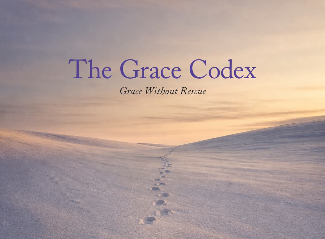 The Grace Codex book cover